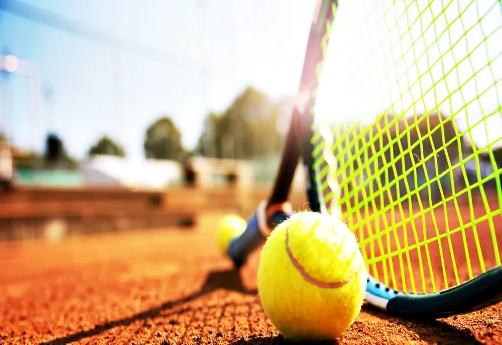 Mihaela Buzărnescu, eliminată în sferturile de finală ale probei de dublu de la Linz