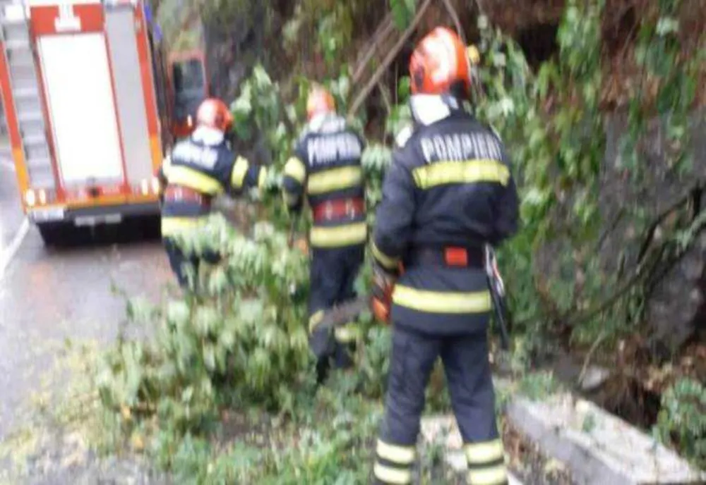 VÂNTUL A FĂCUT PRĂPĂD ÎN BUCUREȘTI ȘI ILFOV 