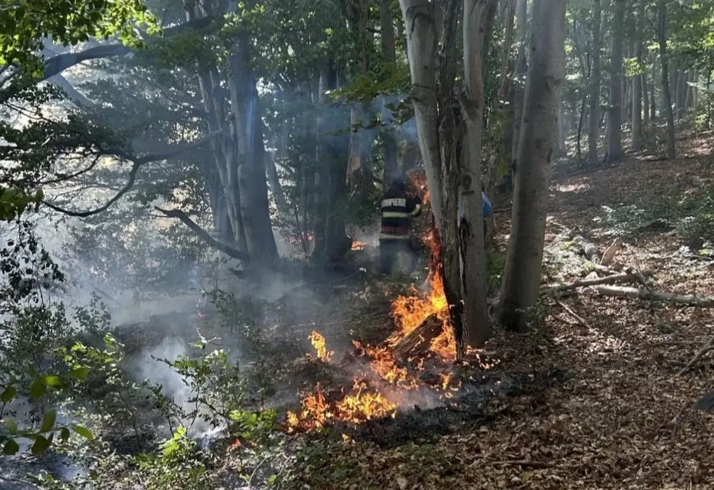 Incendiu de proporții în zona Muntelui Giurgiu, județul Vrancea. Flăcările au cuprins 10 hectare de pădure