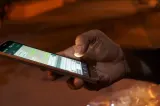 Românii ar putea primi SMS înainte să le expire actele. Ce prevede proiectul adoptat de Senat