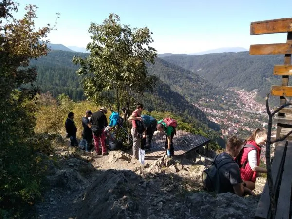 Arii naturale protejate