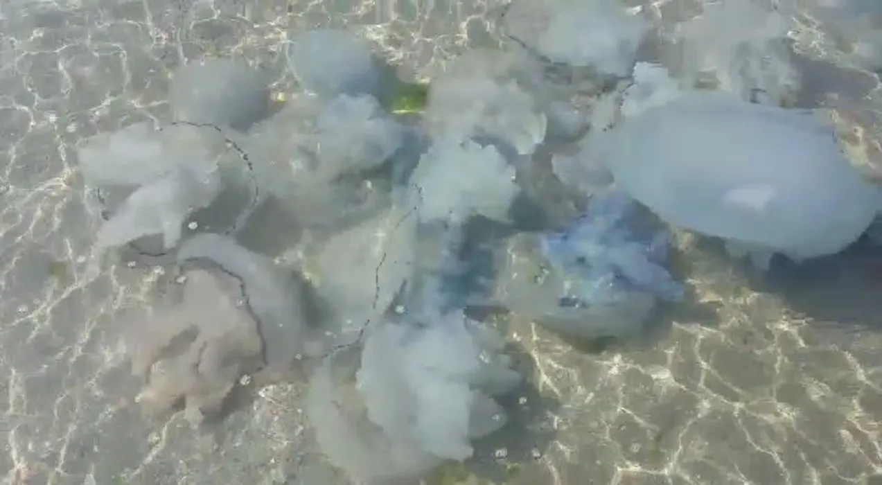 Foto: Arhiva