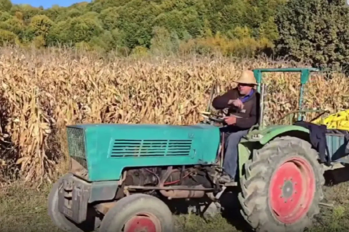 Fermieri pe câmp / Sursa foto - Captură video