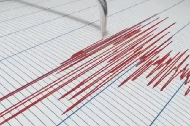Cutremur de 3,9 grade în zona seismică Vrancea. Seismul s-a produs în toiul nopții