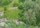VIDEO. Dispărut de trei zile, un bătrân a fost găsit în zona unei mlaştini din Slatina