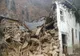 Bilanțul cutremurului devastator, în creștere: Numărul morţilor a depăşit 5.000 de persoane în Turcia şi Siria