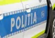 Anchetă în Olt după moartea a patru asini şi doi cai. Cadavrele au fost abandonate pe un câmp