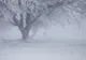Avertizare meteo de vânt, polei, ploi și ninsori, în toată țara, până vineri dimineața
