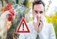 EPIDEMIA DE GRIPĂ AVIARĂ OPREȘTE EXPORTURILE DE CARNE DE PASĂRE DIN BRAZILIA CĂTRE UNIUNEA EUROPEANĂ