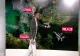 Traseul periculos al dronelor din România: Una a trecut peste case în Deltă, alta a zburat în zigzag spre Capitală